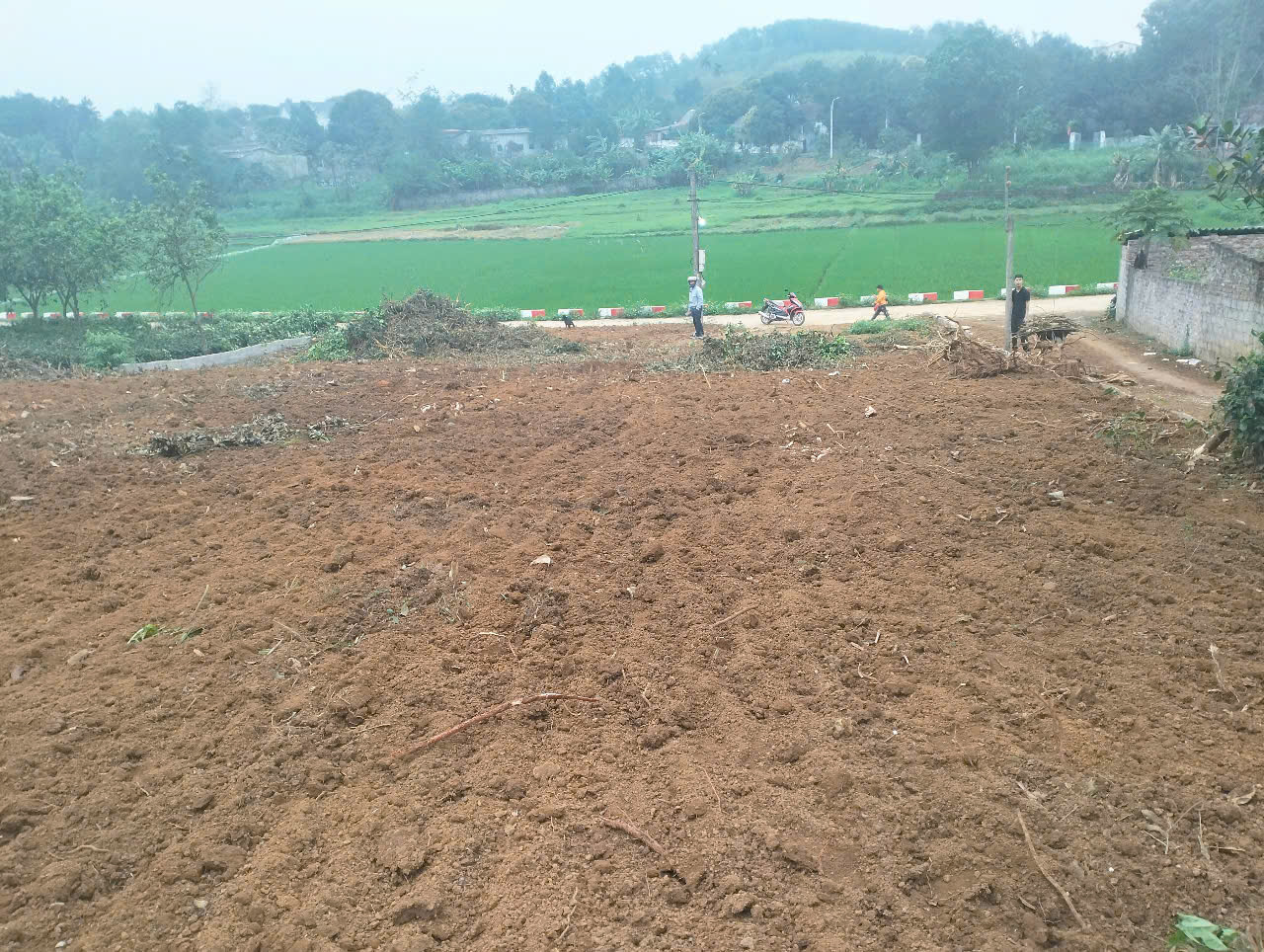 Lô đất nghỉ dưỡng 610M có 100M đất ở_lô góc 2 mặt tiền_trung tâm Ba Trại Ba Vì_3,x tỷ - Ảnh 2